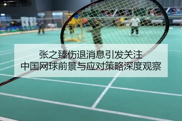 张之臻伤退消息引发关注 中国网球前景与应对策略深度观察