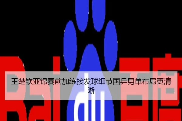 王楚钦亚锦赛前加练接发球细节国乒男单布局更清晰