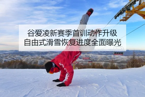 谷爱凌新赛季首训动作升级 自由式滑雪恢复进度全面曝光